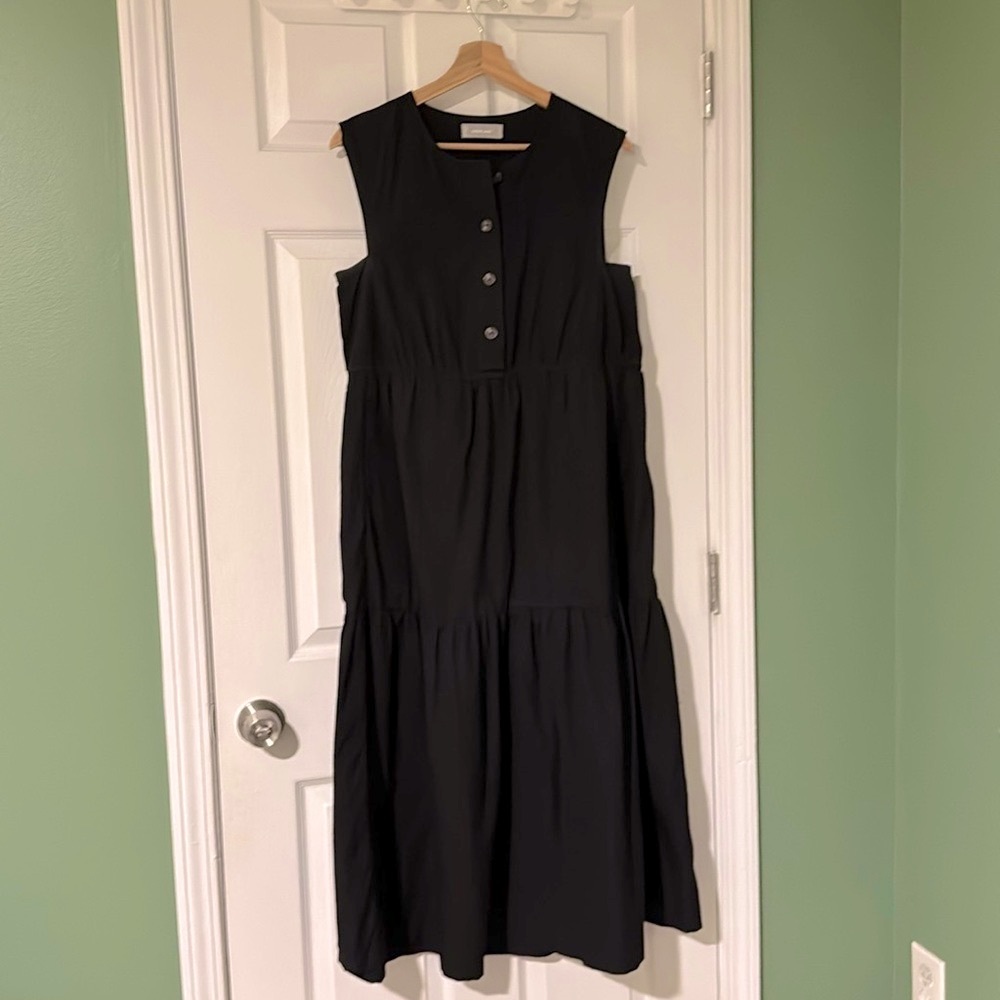 Everlane Black Sleeveless Buttoned Knee-Length Dress